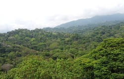 Uvita, Puntarenas, Puntarenas, Puntarenas, Puntarenas