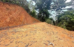 Solo Ceibo, Matapalo, Quepos, Aguirre, Puntarenas, Aguirre, Puntarenas