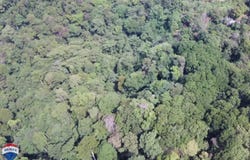 cuervito, Pavones, Puntarenas, Pavones, Puntarenas