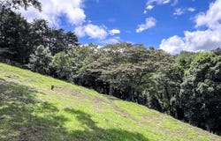 San Juan, Poas, Alajuela, Alajuela