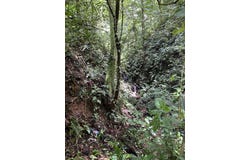 Quepos, Quepos, Puntarenas, Quepos, Puntarenas