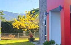 Grecia, Grecia, Alajuela Province