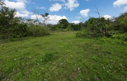 Chachagua - Los Angeles 1, San Ramón, San Ramon, Alajuela, San Ramon, Alajuela 21007