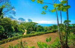 1 s/n, Puerto Cortés, Osa, Puntarenas, Osa, Puntarenas