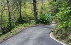 Perfect Oasis Lot at Santa Teresa - Santa Teresa, Puntarenas, Puntarenas Province