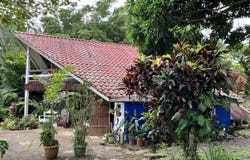 La tigra, San Carlos - La Fortuna, Alajuela, San Carlos - La Fortuna, Alajuela