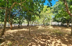 s/n, Portegolpe, Santa Cruz, Guanacaste, Santa Cruz, Guanacaste 50309