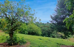 Lourdes, Cirrí, Naranjo, Alajuela, Naranjo, Alajuela, Naranjo, Alajuela
