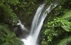 Venecia, San Carlos, Alajuela, San Carlos, Alajuela 21005