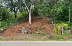 Matapalo , Cabo Velas, Santa Cruz, Guanacaste, Santa Cruz, Guanacaste 50308