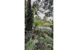 la fortuna, el burrito, San Carlos - La Fortuna, Alajuela, San Carlos - La Fortuna, Alajuela