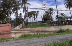 ROBLE PUNTARENAS, Puntarenas, Puntarenas, Puntarenas, Puntarenas