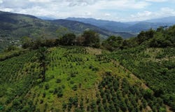Montesión s/n, Tuis, Turrialba, Cartago, Turrialba, Cartago 30507