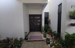 Cartago 9.882772706916816, -83.92592649353176, San Nicolás, Central, Cartago,, Cartago