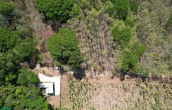 San José de Pinilla, guanacaste, Costa Rica , Tamarindo, Santa Cruz, Guanacaste, Santa Cruz, Guanacaste 50309
