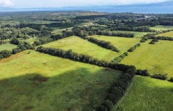 Puerto Jiménez, Puntarenas, Puntarenas, Puntarenas, Puntarenas