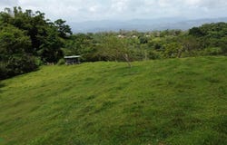 El Sauce s/n, Santa Teresita, Turrialba, Cartago, Turrialba, Cartago 30505
