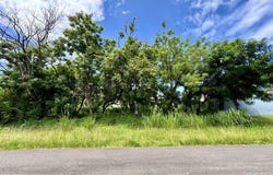 Venta de Lote Independiente en Guachipelín de Escazð: Home Construction Site For Sale in Escazð, Escazð, San José