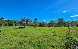 Permaculture Lot 3 , General, Perez Zeledon, San Jose, Perez Zeledon, San Jose 11902