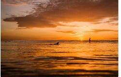 Live 13-03B, Jaco, Puntarenas, Jaco, Puntarenas
