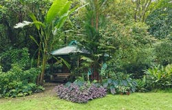 ID 745: Playa Chiquita, 3 Homes, 5, 180sqm Titled Lot: A Secluded Haven Steps from the Sea, Puerto Viejo, Limón 70403