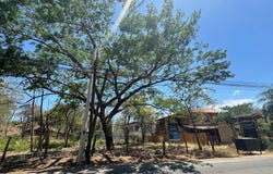 85W5+88P, Provincia de Guanacaste, Matapalo, Costa Rica, Cabo Velas, Guanacaste Province