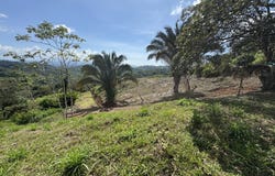 12 Acre Ocean View Farm in a Private Agricultural Community, Ojochal, Puntarenas