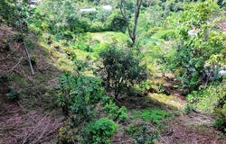 Lote en Chimirol, Costa Rica: Mountain Home Construction Site For Sale in San Isidro del General, San Isidro del General, San José