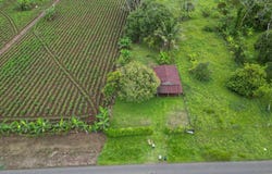 calle bruja 1, Fortuna, San Carlos, Alajuela, San Carlos, Alajuela 21007