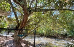 Rancho Colibrí — Tourist Complex in San Isidro del General, Pérez Zeledón, San José Province 11901