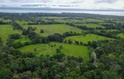 Puerto Jiménez, Puntarenas, Puntarenas, Puntarenas, Puntarenas