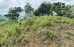 San Miguel, Aguirre, Puntarenas, Aguirre, Puntarenas, Aguirre, Puntarenas