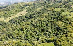 La Linda arriba, General Viejo, Pérez Zeledón, San José, Pérez Zeledón, San José