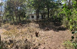 Santa Rosa , Tamarindo, Santa Cruz, Guanacaste, Santa Cruz, Guanacaste 50309