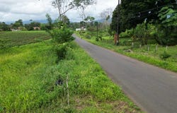 Chachagua Los Angeles, Peñas Blancas, San Ramon, Alajuela, San Ramon, Alajuela 21401