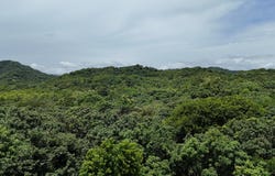 Unnamed Road, Tamarindo, Guanacaste Province