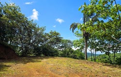 Unnamed Road, Nosara, Guanacaste Province