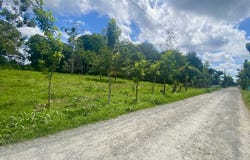 Mountain Home Construction Site For Sale in La Fortuna, La Fortuna, Alajuela