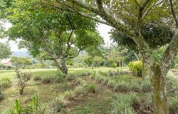 Poas, Alajuela, Poás, Alajuela, Poás, Alajuela