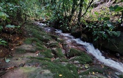 Lote en Chimirol.: Mountain Home Construction Site For Sale in Buena Vista, Buena Vista, San José