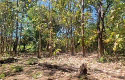 Playa del Coco, La Libertad, Sardinal, Guanacaste, Costa Rica, Sardinal, Guanacaste, Sardinal, Guanacaste