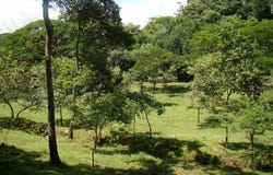 Orotina, Orotina, Alajuela, Orotina, Alajuela