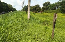 Gravel-Reinforced Lot for Sale with Direct Frontage on High-Traffic Route 21, Guardia, Guanacaste