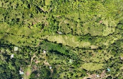 FINCA EN MIRAFLORES: Mountain Agricultural Land For Sale in El General, El General, San José