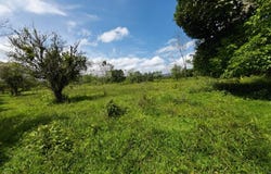 Chachagua - Los Angeles 1, San Ramón, San Ramon, Alajuela, San Ramon, Alajuela 21007