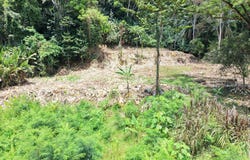 M582+42, Cahuita, Limón Province