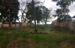 ROBLE PUNTARENAS, Puntarenas, Puntarenas, Puntarenas, Puntarenas