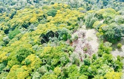 Platanillo, Baru, San Jose 11901