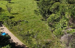 Permaculture Lot 1 , San Isidro del General, Perez Zeledon, San Jose, Perez Zeledon, San Jose 11902