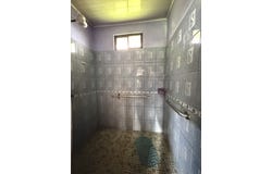 Alajuela, san Carlos, la Tigra, San Carlos - La Tigra, Alajuela, San Carlos - La Tigra, Alajuela
